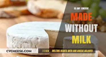 The Surprising Answer to: Can Cheese Be Made Without Milk?