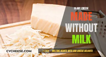 Cheese Without Milk: Is It Possible?