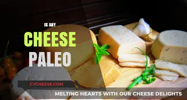 Is Cheese Paleo-Friendly? Uncovering the Truth About Dairy on Paleo