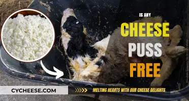 Cheese and Puss: What's the Real Deal?