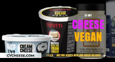 Is Any Cheese Vegan? Exploring Plant-Based Alternatives to Dairy