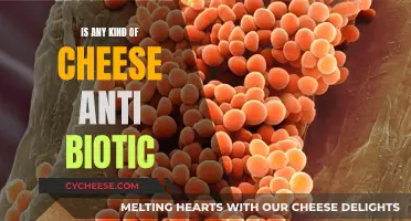 Cheese and Antibiotics: What's the Connection?