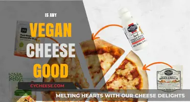 Vegan Cheese: Delicious or Disgusting?