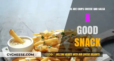 Chips, Cheese, and Salsa: A Perfect Snack?