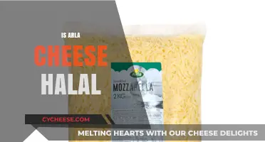 Is Arla Cheese Halal? A Comprehensive Guide for Muslim Consumers