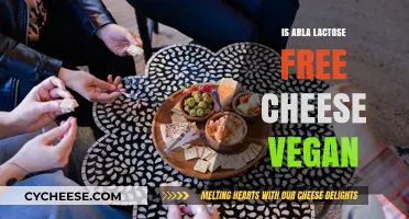 Arla's Lactose-Free Cheese: Vegan or Not?