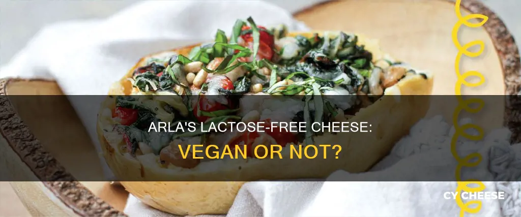 is arla lactose free cheese vegan