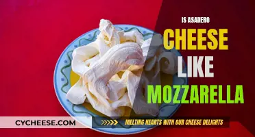 Asadero Cheese: Mozzarella's Melty Cousin?