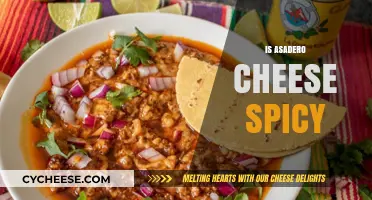 Is Asadero Cheese Spicy? Exploring Its Flavor and Heat Level