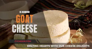 Exploring the Delicate Art of Asadero Goat Cheese: A Culinary Adventure