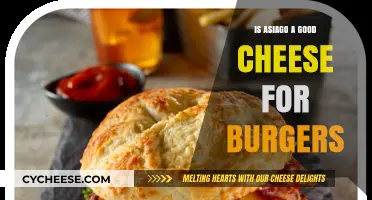 Asiago Cheese on Burgers: A Match Made in Heaven?