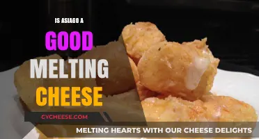 The Ultimate Melting Cheese: Asiago's Superpowers