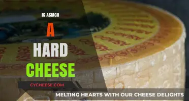 Is Asiago a Hard Cheese? Exploring Its Texture and Uses