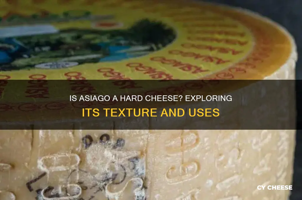 is asiago a hard cheese