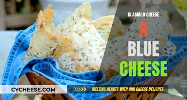 The Flavor Mystery: Asiago Cheese and Blue Cheese