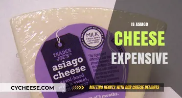 Is Asiago Cheese Expensive? Exploring Costs and Value