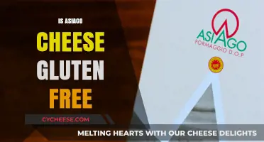 Asiago Cheese: A Gluten-Free Option for Foodies