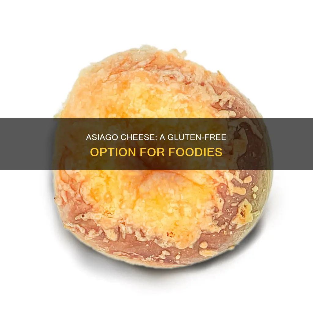 is asiago cheese gluten free