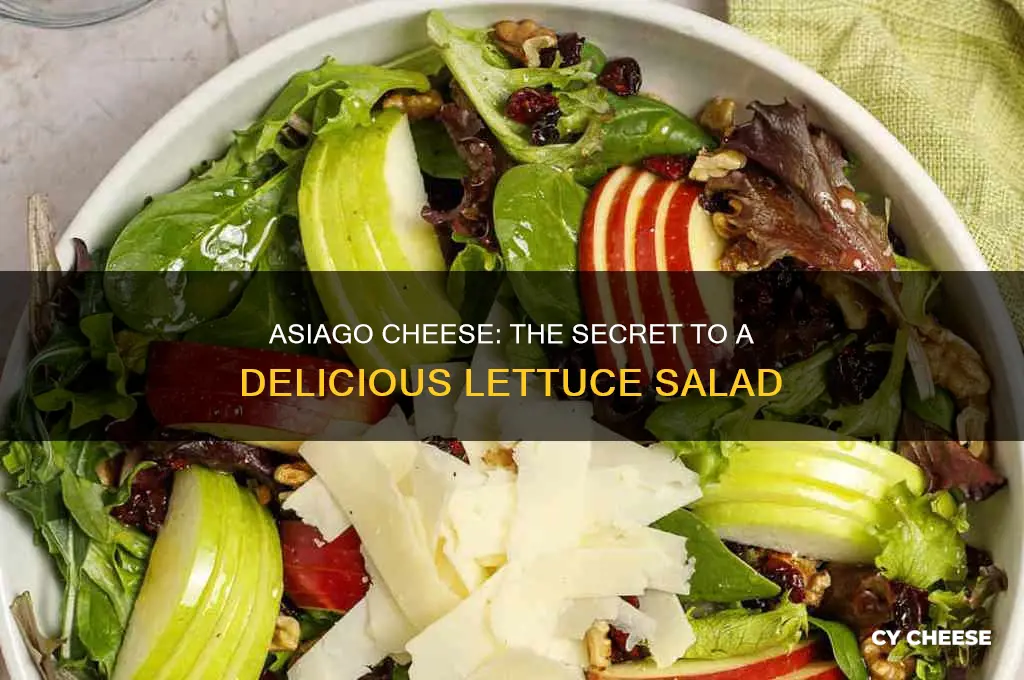 is asiago cheese good in a lettce salad