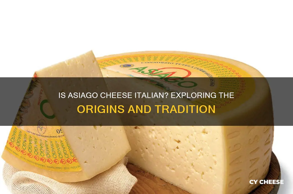 is asiago cheese italian