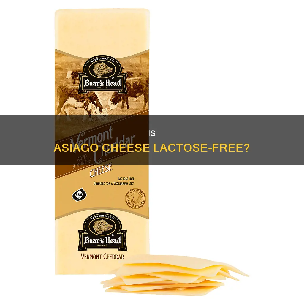 is asiago cheese lactose free