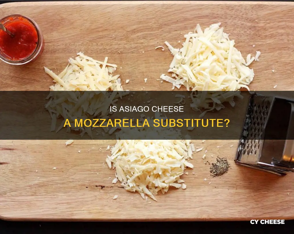 is asiago cheese like mozzarella