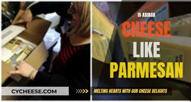 What's the Difference Between Asiago and Parmesan Cheeses?