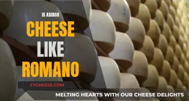 What's the Difference Between Asiago and Romano Cheeses?