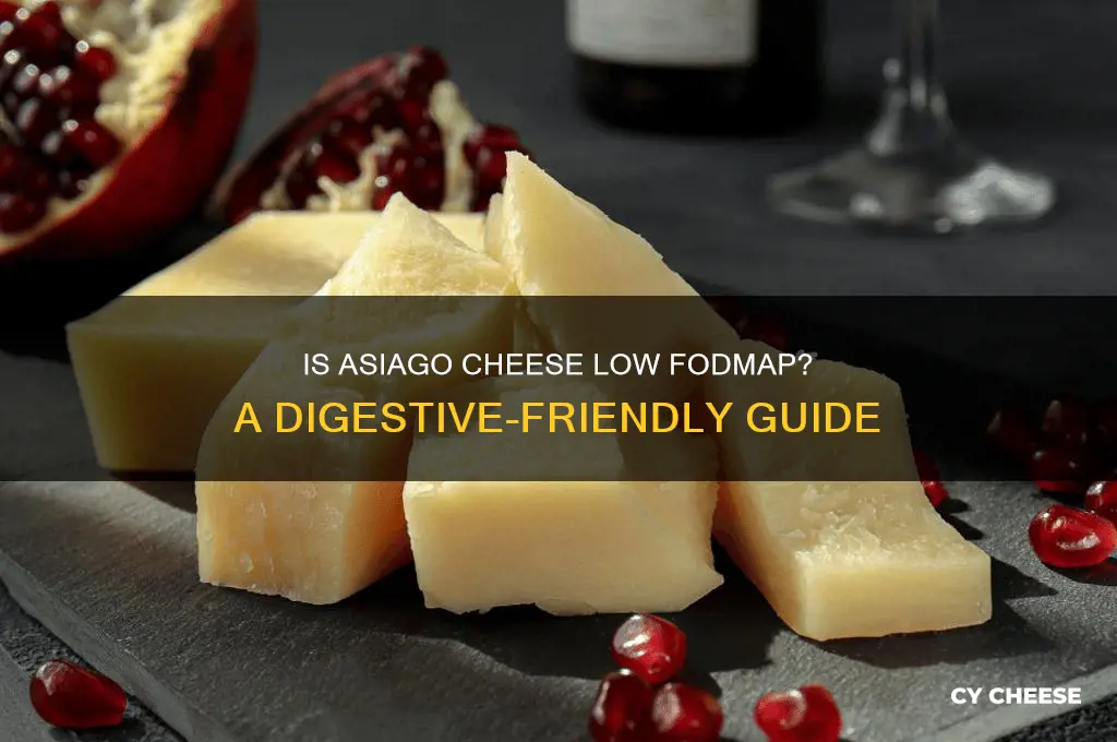 is asiago cheese low fodmap