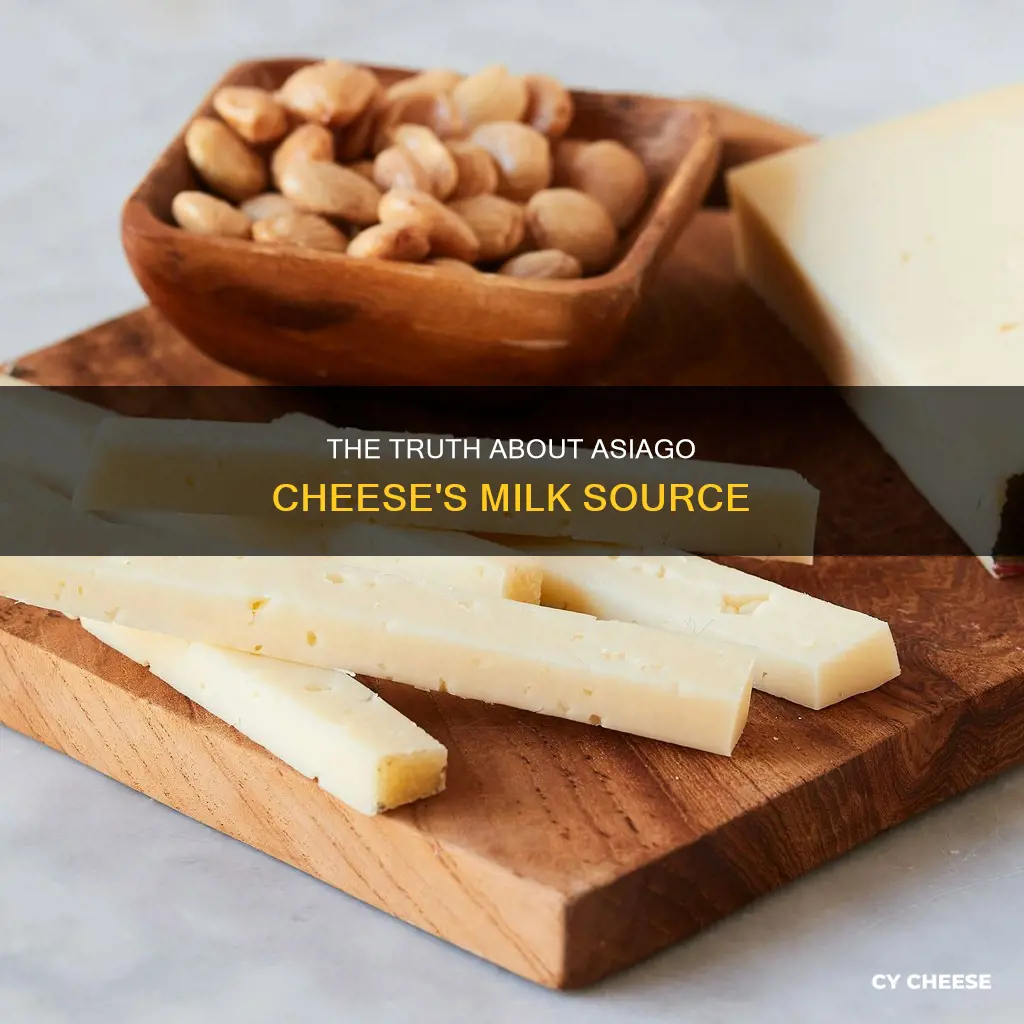 is asiago cheese made from cow