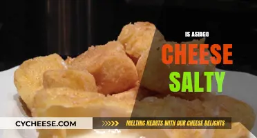 Is Asiago Cheese Salty? Exploring Its Flavor Profile and Uses
