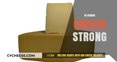 Is Asiago Cheese Strong? Exploring Its Flavor Intensity and Characteristics