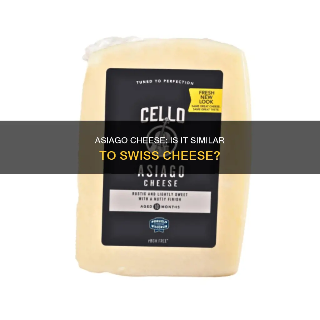 is asiago cheese swiss cheese