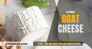 Is Asiago Goat Cheese? Unveiling the Truth