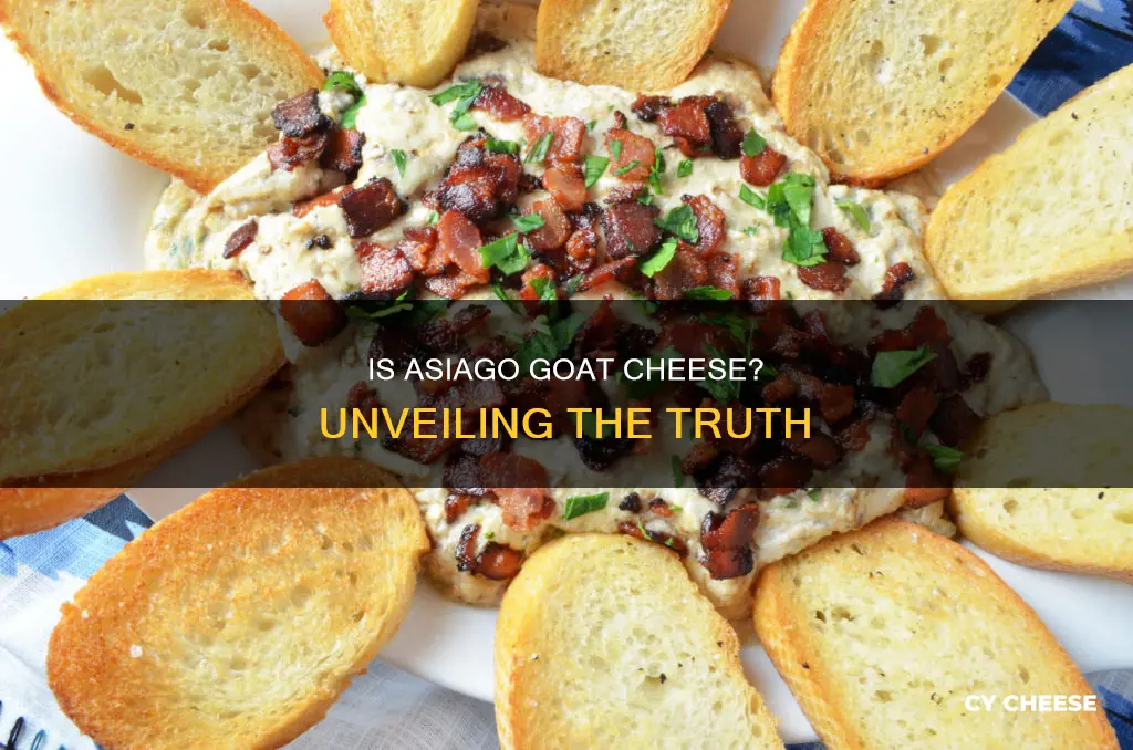 is asiago goat cheese