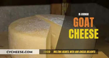 Goat Cheese Asiago: A Unique Blend of Flavors