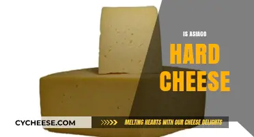 Is Asiago Hard Cheese? Exploring Its Texture and Culinary Uses