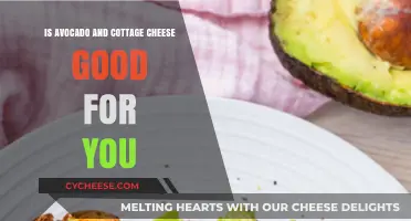 Avocado and Cottage Cheese: Nutritional Benefits and Healthy Pairing Explained