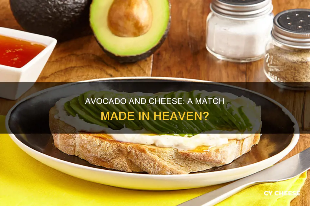 is avocado good with cheese