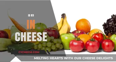 Does Cheese Contain Vitamin B3? Uncovering Nutritional Facts and Benefits