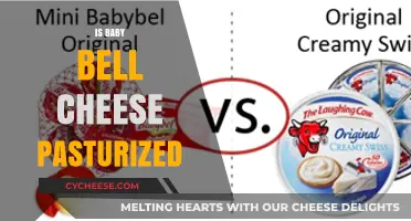 Is Babybel Cheese Pasteurized? Facts You Need to Know