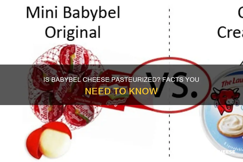 is baby bell cheese pasturized