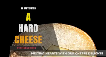 Baby Swiss Cheese: Hard or Soft?