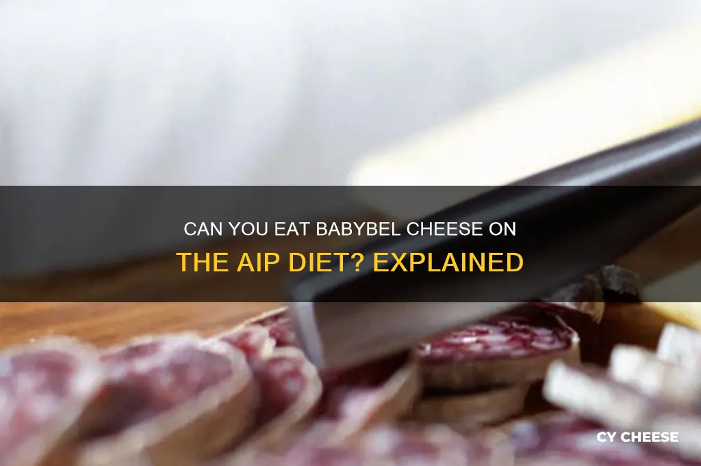 is babybel cheese alowed on the aip diet