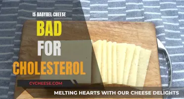 Babybel Cheese: Healthy Snack or Cholesterol Nightmare?