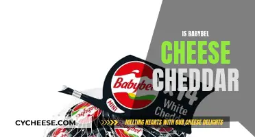 Babybel's Cheddar Charm: Unveiling the Creamy Delight