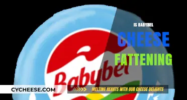 Is Babybel Cheese Fattening? Uncovering the Truth About This Snack