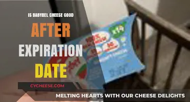 Can You Eat Babybel Cheese Past Its Expiry Date?