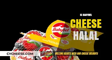 Is Babybel Cheese Halal? Exploring Ingredients and Certification