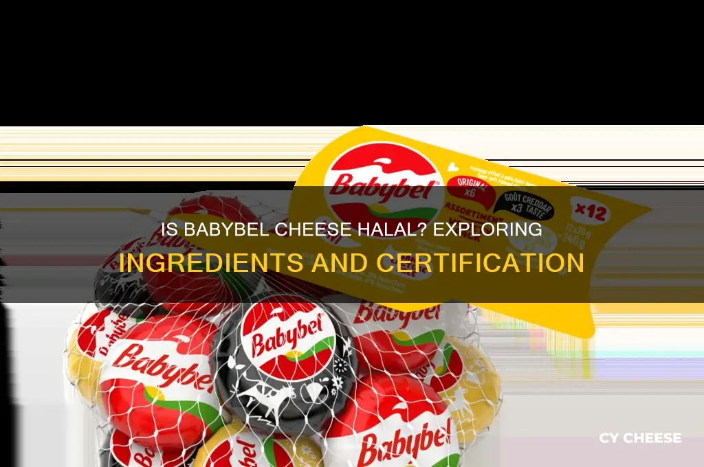 is babybel cheese halal